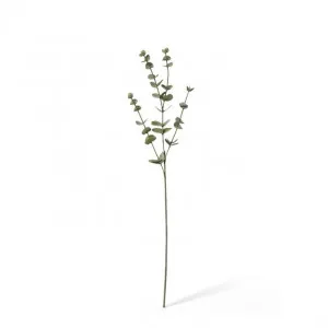 Eucalyptus Spray - 13 x 3 x 61cm by null, a Plants for sale on Style Sourcebook