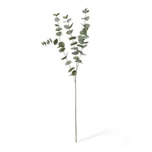 Eucalyptus Spray - 15 x 5 x 100cm by null, a Plants for sale on Style Sourcebook
