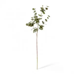 Eucalyptus Spray - 25 x 6 x 86cm by null, a Plants for sale on Style Sourcebook