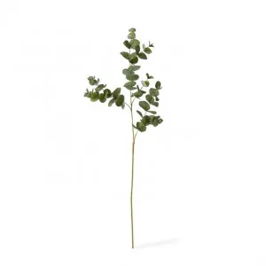 Eucalyptus Spray - 28 x 4 x 97cm by null, a Plants for sale on Style Sourcebook