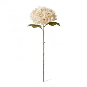 Hydrangea Decor Stem - 26 x 23 x 66cm by null, a Plants for sale on Style Sourcebook