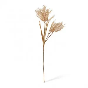Pampas Field Grass Decor Spray - 30 x 30 x 120cm by null, a Plants for sale on Style Sourcebook