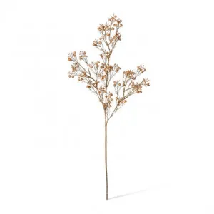 Popcorn Flower Decor Spray - 25 x 12 x 63cm by null, a Plants for sale on Style Sourcebook