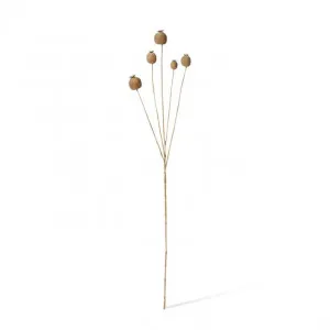 Poppy Seed Spray - 18 x 15 x 76cm by null, a Plants for sale on Style Sourcebook