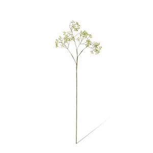 Seeding Berry Stem - 25 x 15 x 63cm by null, a Plants for sale on Style Sourcebook