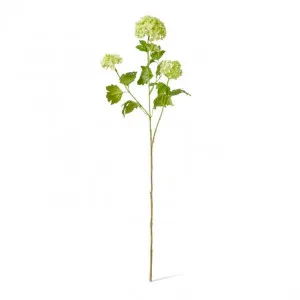Snowball Spray - 17 x 7 x 77cm by null, a Plants for sale on Style Sourcebook