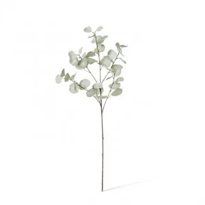 Eucalyptus Dollar Spray - 35 x 15 x 90cm by null, a Plants for sale on Style Sourcebook
