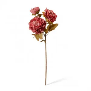 Peony Queen Decor Spray - 30 x 20 x 76cm by null, a Plants for sale on Style Sourcebook