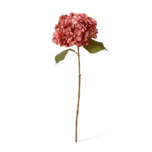 Hydrangea Decor Stem - 26 x 23 x 66cm by null, a Plants for sale on Style Sourcebook
