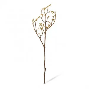 Magnolia Bud Branch - 30 x 14 x 86cm by null, a Plants for sale on Style Sourcebook