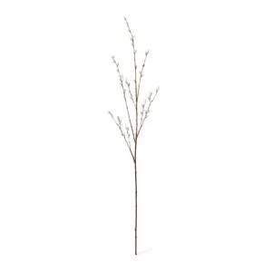 Pussy Willow Branch - 30 x 14 x 127cm by null, a Plants for sale on Style Sourcebook