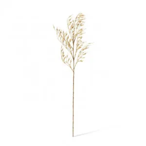 Wheat Grass Stem - 18 x 8 x 89cm by null, a Plants for sale on Style Sourcebook