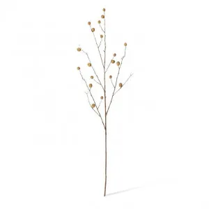 Berry Pod Dried Look Branch - 20 x 8 x 108cm by null, a Plants for sale on Style Sourcebook