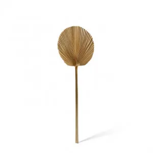 Fan Palm Mini Dried Stem - 15 x 1 x 45cm by null, a Plants for sale on Style Sourcebook