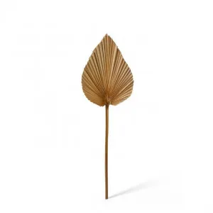 Fan Palm Mini Heart Dried Stem - 15 x 1 x 50cm by null, a Plants for sale on Style Sourcebook