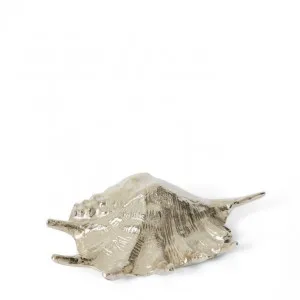 Mure x  Shell Sculpture - 33 x 19 x 10cm by null, a Statues & Ornaments for sale on Style Sourcebook