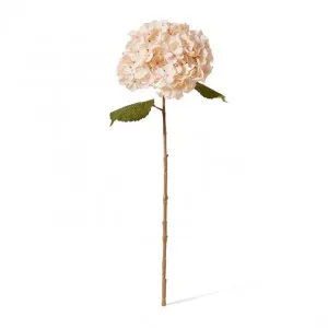 Hydrangea Decor Stem - 26 x 23 x 66cm by null, a Plants for sale on Style Sourcebook