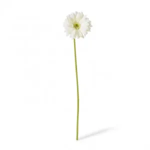 Gerbera Daisy Stem - 13 x 13 x 53cm by null, a Plants for sale on Style Sourcebook