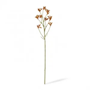 Kangaroo Paw Spray - 13 x 5 x 71cm by null, a Plants for sale on Style Sourcebook