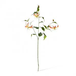 Gloriosa Spray - 19 x 6 x 90cm by null, a Plants for sale on Style Sourcebook