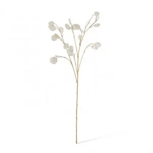 Silver Dollar Spray - 15 x 4 x 94cm by null, a Plants for sale on Style Sourcebook