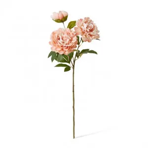 Peony Queen Spray - 30 x 20 x 76cm by null, a Plants for sale on Style Sourcebook