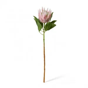 Protea King Stem - 20 x 13 x 74cm by null, a Plants for sale on Style Sourcebook