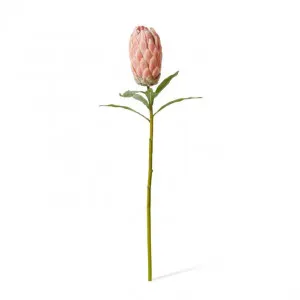 Protea Stem - 16 x 10 x 61cm by null, a Plants for sale on Style Sourcebook