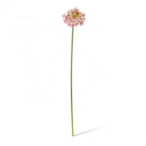 Star Flower Stem - 13 x 7 x 76cm by null, a Plants for sale on Style Sourcebook