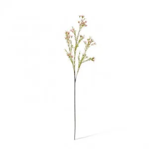 Wax  Flower Spray - 18 x 15 x 68cm by null, a Plants for sale on Style Sourcebook