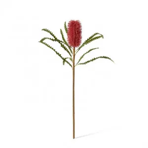Banksia Stem - 20 x 8 x 65cm by null, a Plants for sale on Style Sourcebook