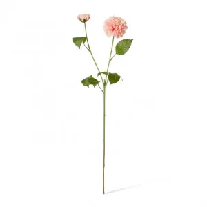 Dahlia Pom Pom Spray - 15 x 15 x 72cm by null, a Plants for sale on Style Sourcebook