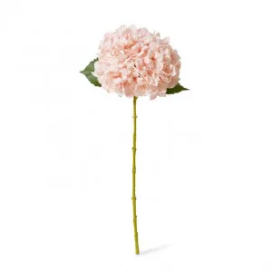 Hydrangea Classic Large Stem - 23 x 23 x 65cm by null, a Plants for sale on Style Sourcebook
