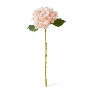 Hydrangea Classic Small Stem - 23 x 21 x 61cm by null, a Plants for sale on Style Sourcebook