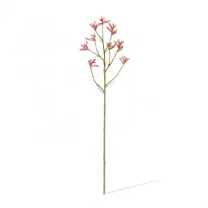 Kangaroo Paw Spray - 13 x 5 x 71cm by null, a Plants for sale on Style Sourcebook