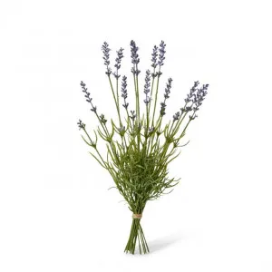 Lavender Bundle - 20 x 20 x 41cm by null, a Plants for sale on Style Sourcebook
