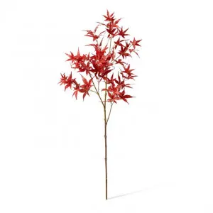 Maple Japanese Spray - 40 x 40 x 95cm by null, a Plants for sale on Style Sourcebook