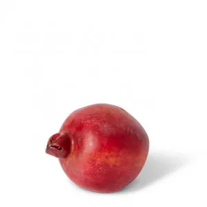 Pomegranate - 8 x 8 x 10cm by null, a Plants for sale on Style Sourcebook