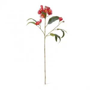 Eucalyptus Flowering Spray - 17 x 8 x 76cm by null, a Plants for sale on Style Sourcebook