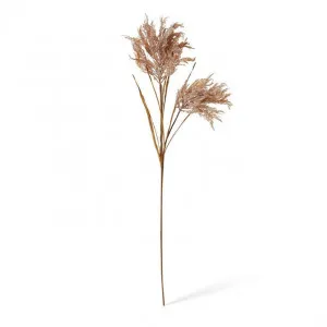 Pampas Field Grass Decor Spray - 30 x 30 x 120cm by null, a Plants for sale on Style Sourcebook