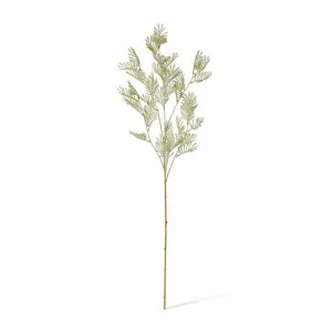 Wattle Leaf Spray - 35 x 15 x 92cm by null, a Plants for sale on Style Sourcebook