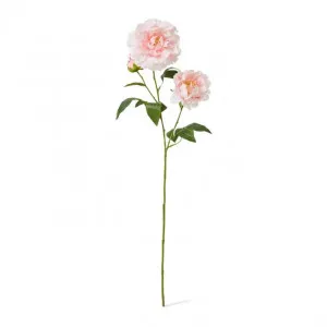 Peony Lillian Spray - 20 x 20 x 74cm by null, a Plants for sale on Style Sourcebook