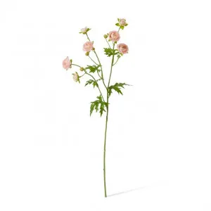 Ranunculus Spray - 20 x 12 x 56cm by null, a Plants for sale on Style Sourcebook