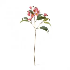 Eucalyptus Flowering Spray - 17 x 8 x 76cm by null, a Plants for sale on Style Sourcebook
