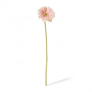 Gerbera Daisy Stem - 13 x 13 x 53cm by null, a Plants for sale on Style Sourcebook