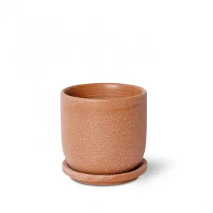 Allegra Pot w. Saucer - 12 x 12 x 12cm by null, a Plant Holders for sale on Style Sourcebook