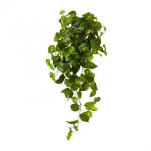 Pothos Golden Hanging Plant - 34 x 30 x 104cm by null, a Plants for sale on Style Sourcebook