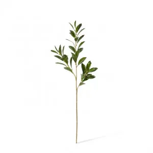 Shikiba Spray - 25 x 18 x 72cm by null, a Plants for sale on Style Sourcebook