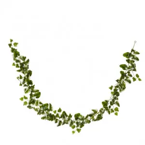 Ivy Kangaroo Garland - 15 x 10 x 180cm by null, a Plants for sale on Style Sourcebook