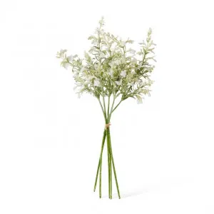 Larkspur Flower Bundle - 15 x 15 x 41cm by null, a Plants for sale on Style Sourcebook